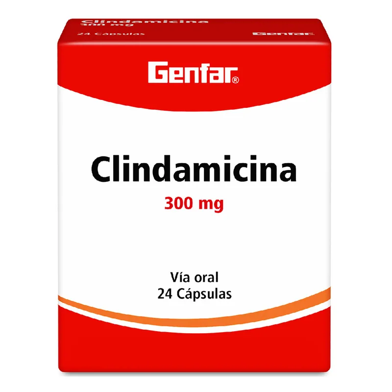 Clindamicina 300 mg 24 cápsulas GF