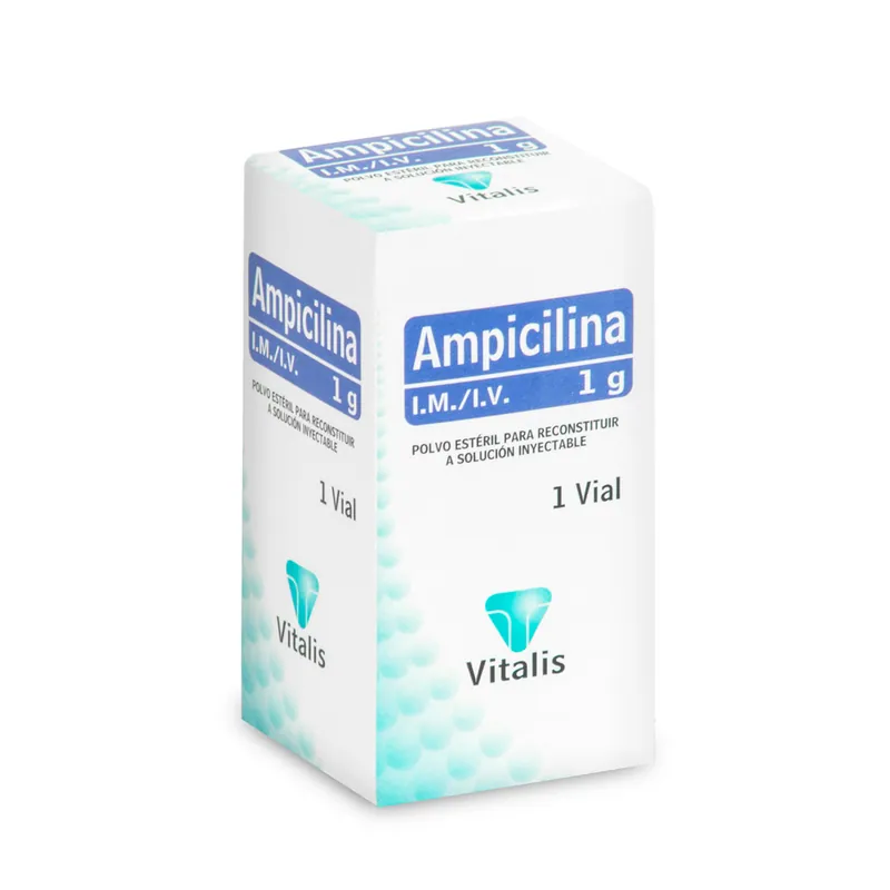 Ampicilina 1 g 1 ampollas VT