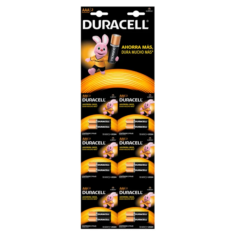 Pila Duracell Alkalina Aaa x 2 6 unidades