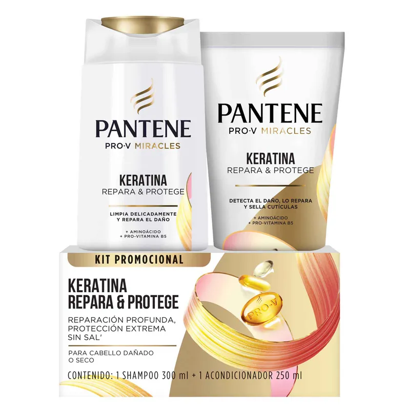 Champú Pan Kera Rep Prot 300 Ml+ac Pan 250 mL